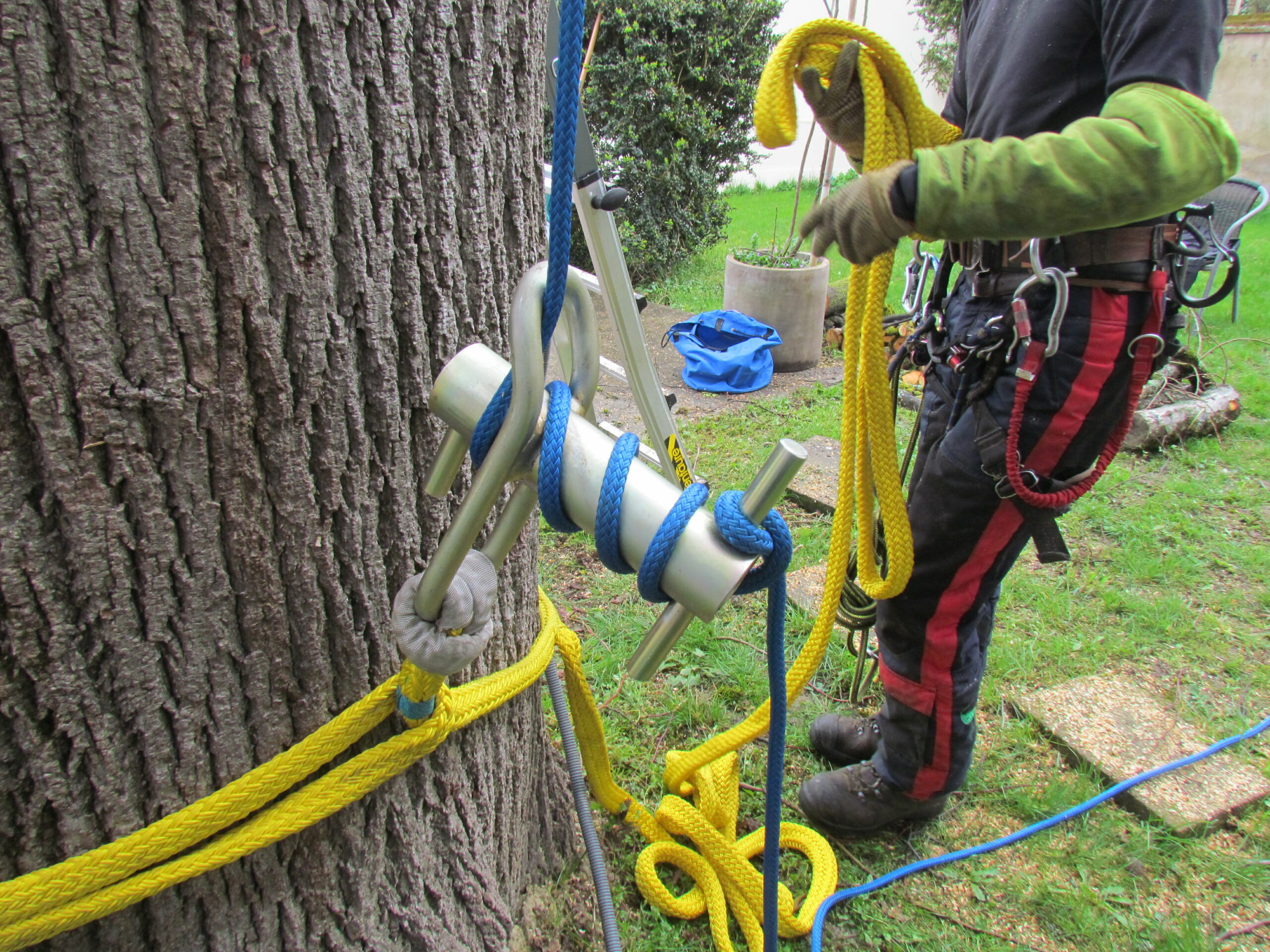 Formateur aux techniques d' abattage d'arbres