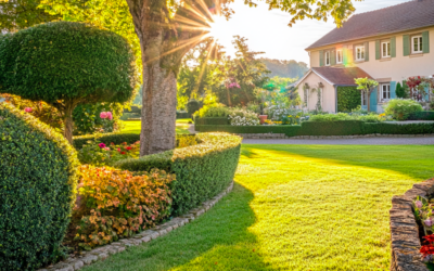 Solutions d’Élagage et Abattage d’Arbres à Labège