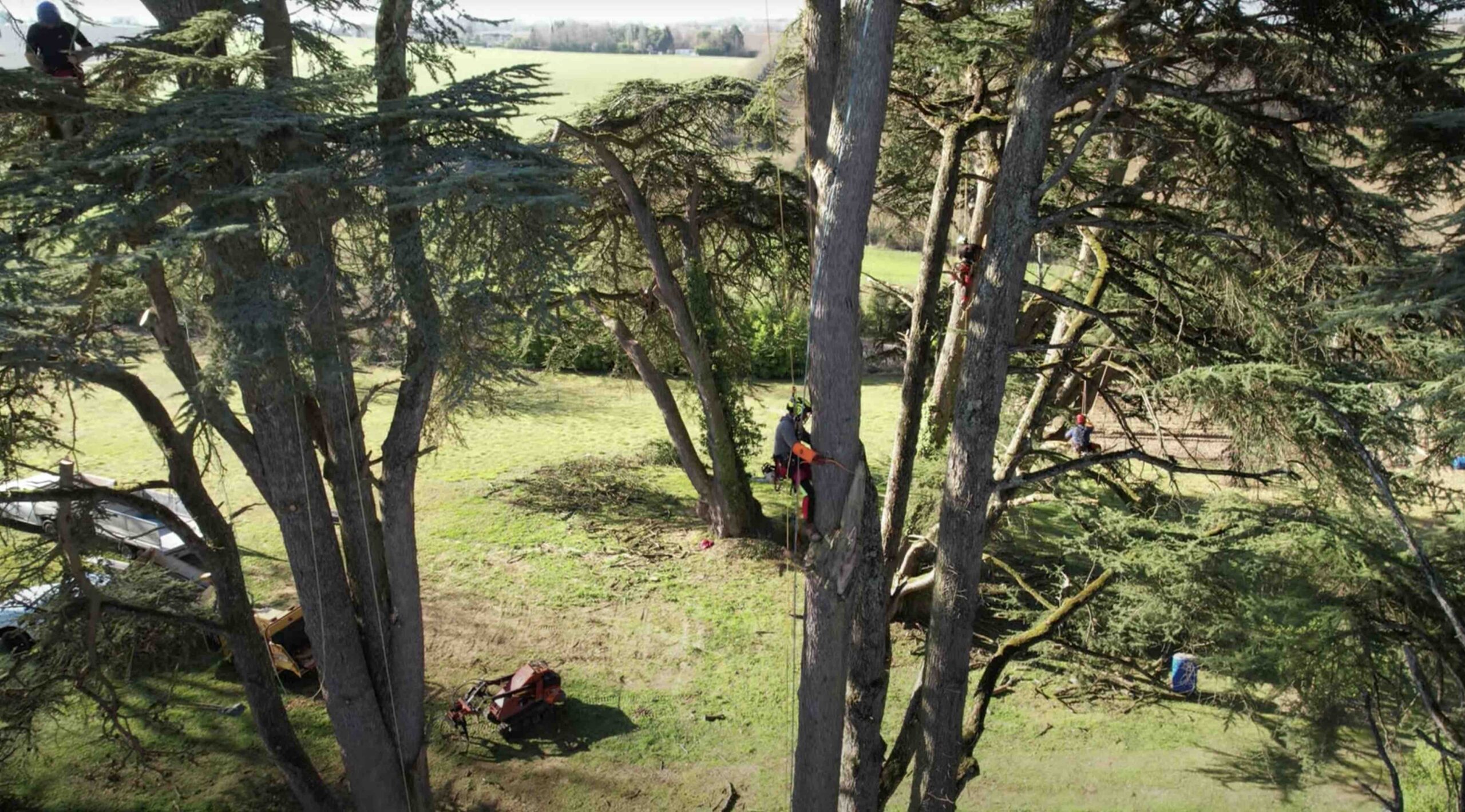 Service d'abattage d'arbres à Préserville
