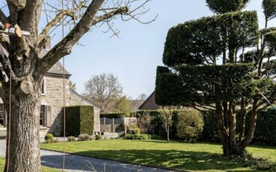 Taille sanitaire vs taille architecturée : quelle différence à Mons ?